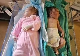مرگ در غزه به روایت تصویر 2